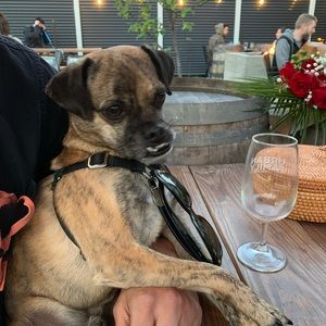 Meet your Posher, Janiece